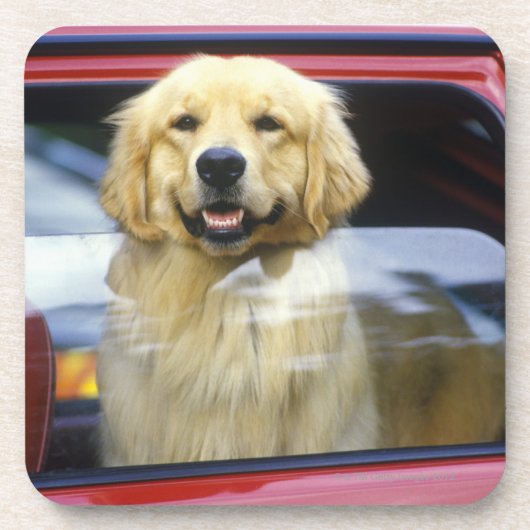 Dog in rood autoraam bier onderzetter (Voorkant)