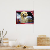 Dog in rood autoraam poster (Keuken)