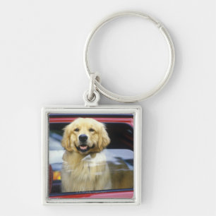 Dog in rood autoraam sleutelhanger