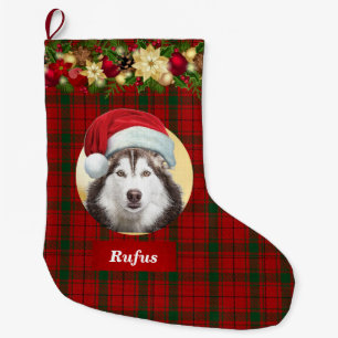 Dog in Santa Claus Pet Fotokerstnaam Grote Kerstsok