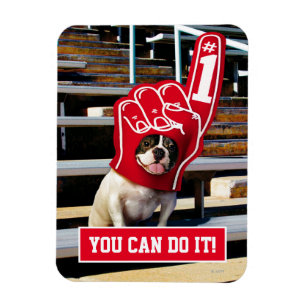 Dog in schuimhand magneet