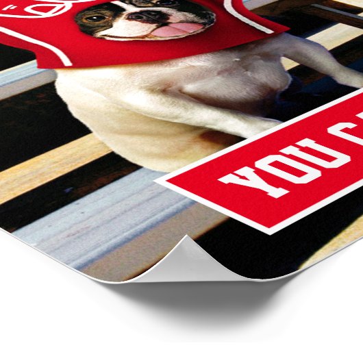 Dog in schuimhand poster (Hoek)