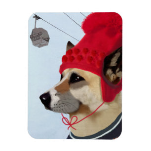 Dog in Ski Sweater Magneet