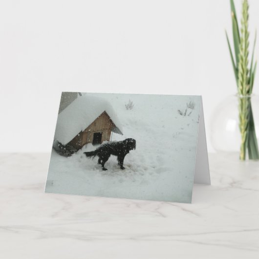 Dog in sneeuw door Doghouse Feestdagen Kaart (Voorkant)