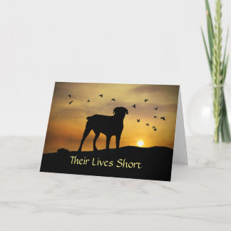 Dog in Sunset Sympathie Verlies van hond Kaart