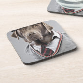Dog in sweater en pet bier onderzetter (Linkerzijde)