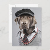 Dog in sweater en pet briefkaart (Voorkant / Achterkant)