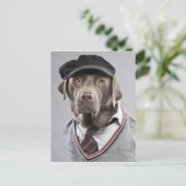 Dog in sweater en pet briefkaart (Staand voorkant)