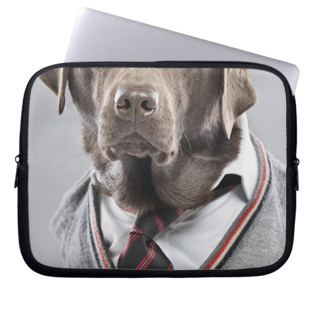 Dog in sweater en pet laptop sleeve (Voorkant)