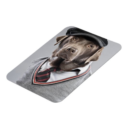 Dog in sweater en pet magneet (Linkerzijde)