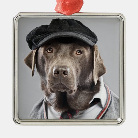 Dog in sweater en pet metalen ornament (Voorkant)