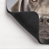 Dog in sweater en pet muismat (Hoek)