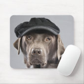 Dog in sweater en pet muismat (Met muis)