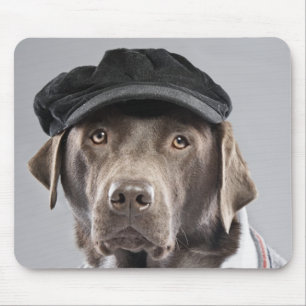 Dog in sweater en pet muismat
