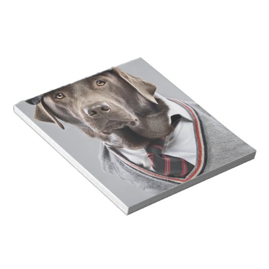 Dog in sweater en pet notitieblok (Schuin)