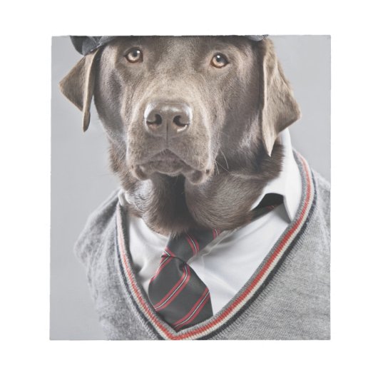 Dog in sweater en pet notitieblok (Voorkant)