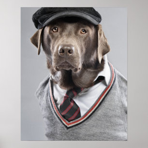 Dog in sweater en pet poster