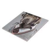 Dog in sweater en pet tegeltje (Zijkant)