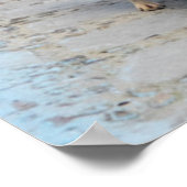 Dog in the Blue City Poster (Hoek)