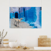 Dog in the Blue City Poster (Keuken)