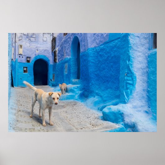 Dog in the Blue City Poster (Voorkant)