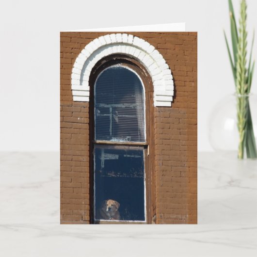 Dog in venster kaart (Voorkant)