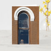 Dog in venster kaart (Gele Bloem)