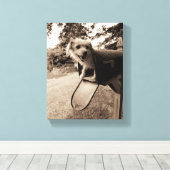 Dog Inside a Mailbox Canvas Afdruk (Insitu (Houten vloer))