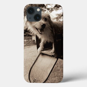 Dog Inside a Mailbox Case-Mate iPhone Case