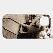 Dog Inside a Mailbox Case-Mate iPhone Case (Achterkant (horizontaal))