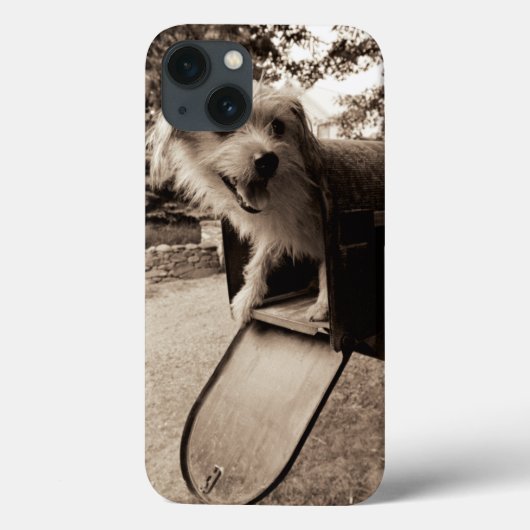Dog Inside a Mailbox Case-Mate iPhone Case (Achterkant)