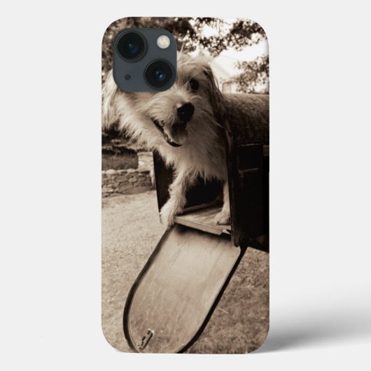 Dog Inside a Mailbox Case-Mate iPhone Case (Achterkant)