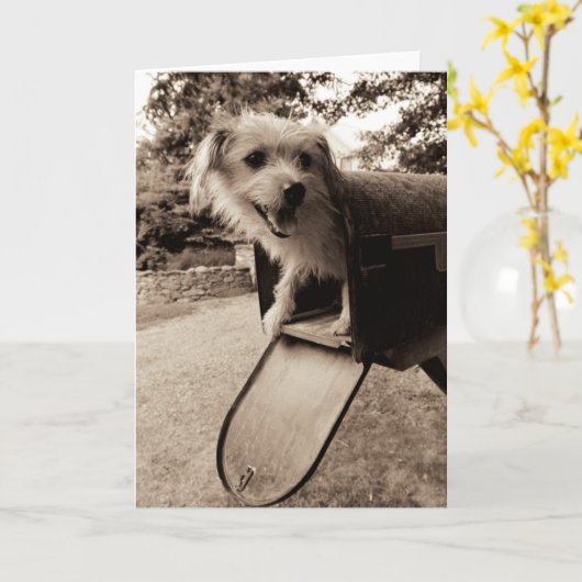 Dog Inside a Mailbox Kaart (Gele Bloem)