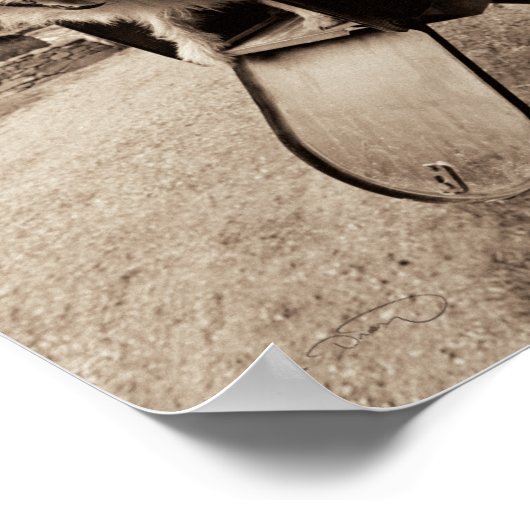 Dog Inside a Mailbox Poster (Hoek)