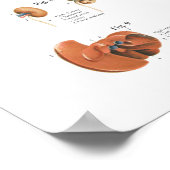 Dog interne orgaananatomie Poster (Hoek)