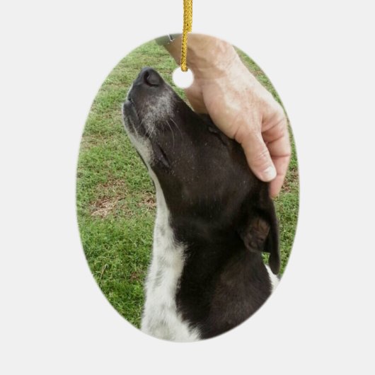 Dog is een beste vriend van het man! keramisch ornament (Voorkant)