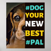 #Dog, je nieuwe beste #Pal ...beagle Poster (Voorkant)
