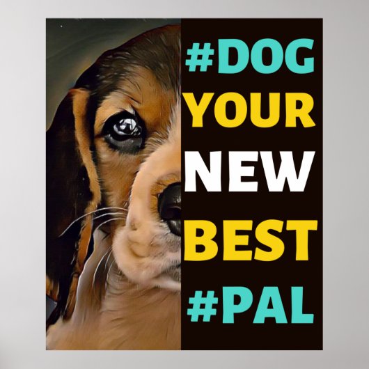 #Dog, je nieuwe beste #Pal ...beagle Poster (Voorkant)