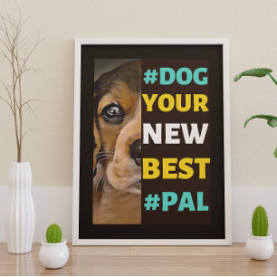 #Dog, je nieuwe beste #Pal ...beagle Poster