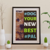 #Dog, je nieuwe beste #Pal ...Cavapoo Poster