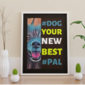 #Dog, je nieuwe beste #Pal ...Keeshond Poster