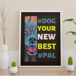 #Dog, je nieuwe beste #Pal ...Keeshond Poster