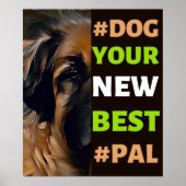 #Dog, je nieuwe beste #Pal ...Leonberger Poster (Voorkant)