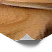 #Dog, je nieuwe beste #Pal ...Leonberger Poster (Hoek)