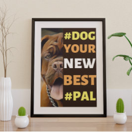 #Dog, je nieuwe beste #Pal ...Mastiff Poster