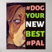 #Dog, je nieuwe beste #Pal ...Pitbull Poster (Voorkant)
