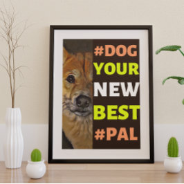 #Dog, je nieuwe beste #Pal ...Shiba Inu Poster