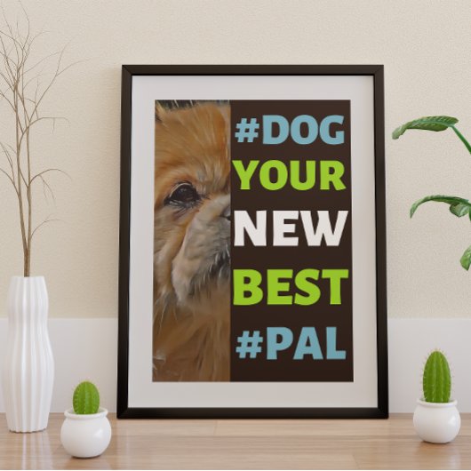#Dog, je nieuwe beste #Pal ...Tibetaans Spanjaard Poster