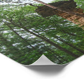 Dog Jumping from Stand Rock in Wisconsin Dells Poster (Hoek)