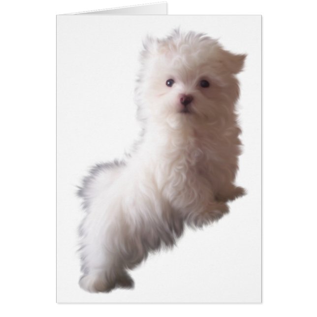 Dog-kaart (Voorkant)